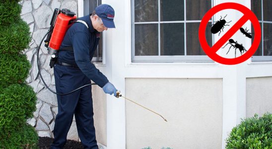 Evka 5 Fare İlaçlama böcek ilaçlama ve haşere kontrolü — ilaclama-tr.com